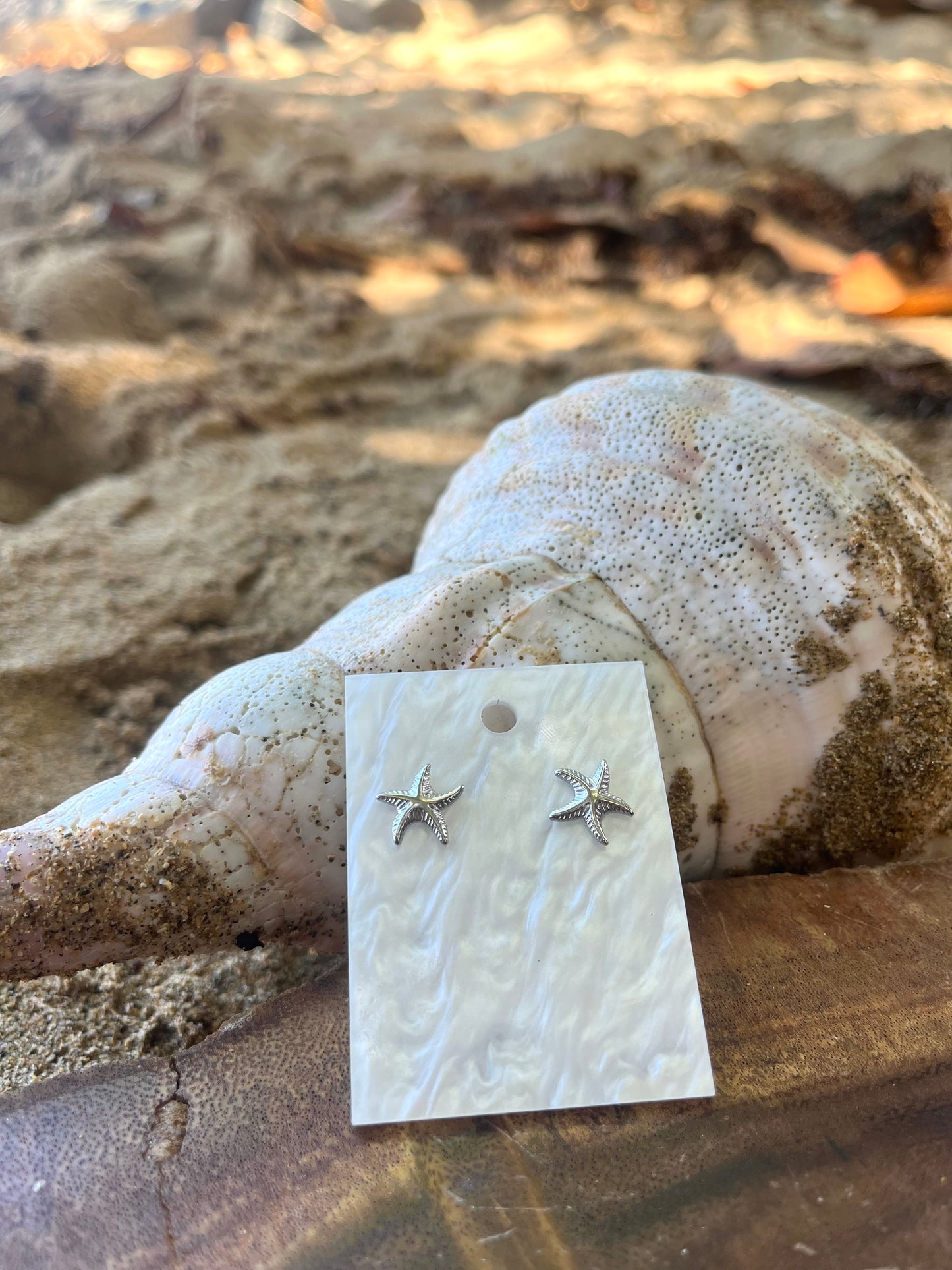 Silver star Earrings