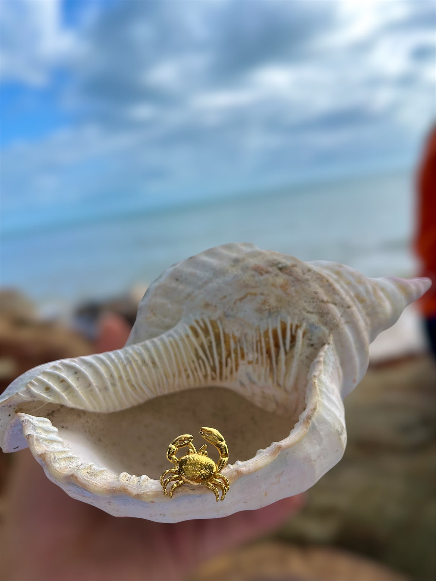 Crab Ring