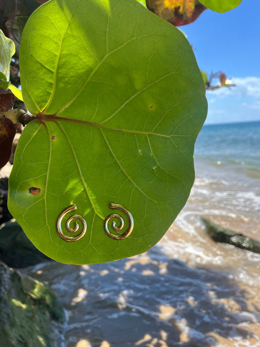 Espiral Earrings