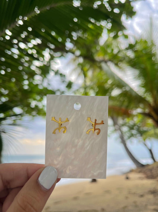 Coquí Taíno Earrings