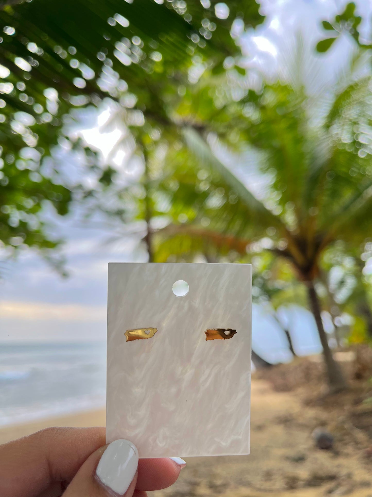 Mapa Earrings