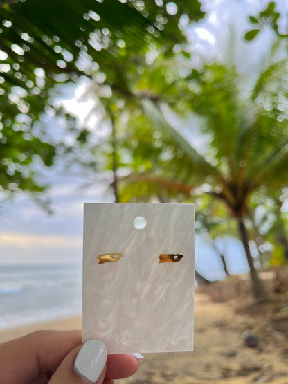 Mapa Earrings
