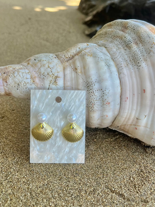 Pearl Seashell Earrings