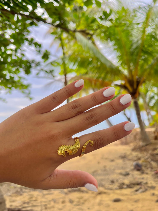 Caballito de Mar Ring