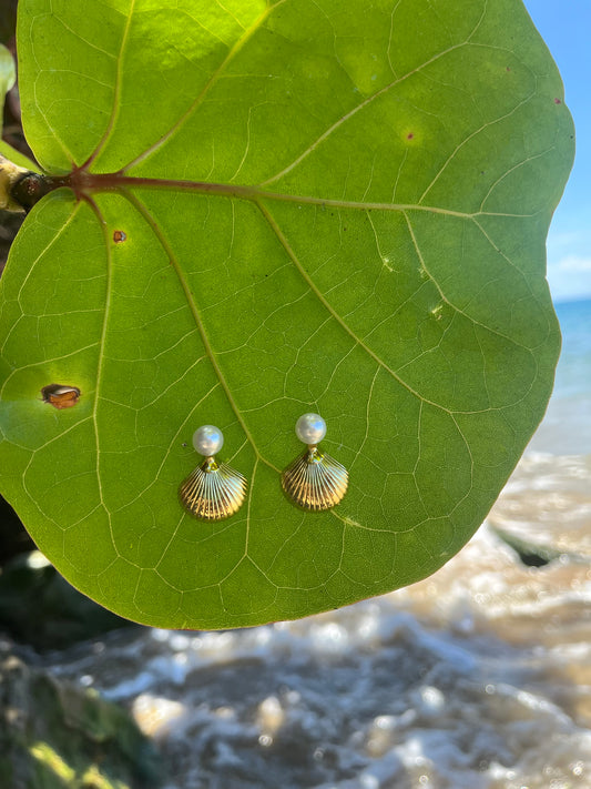 Pearl Seashell Earrings