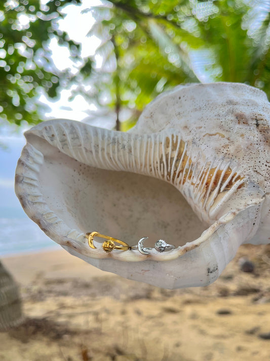Sun and Moon rings