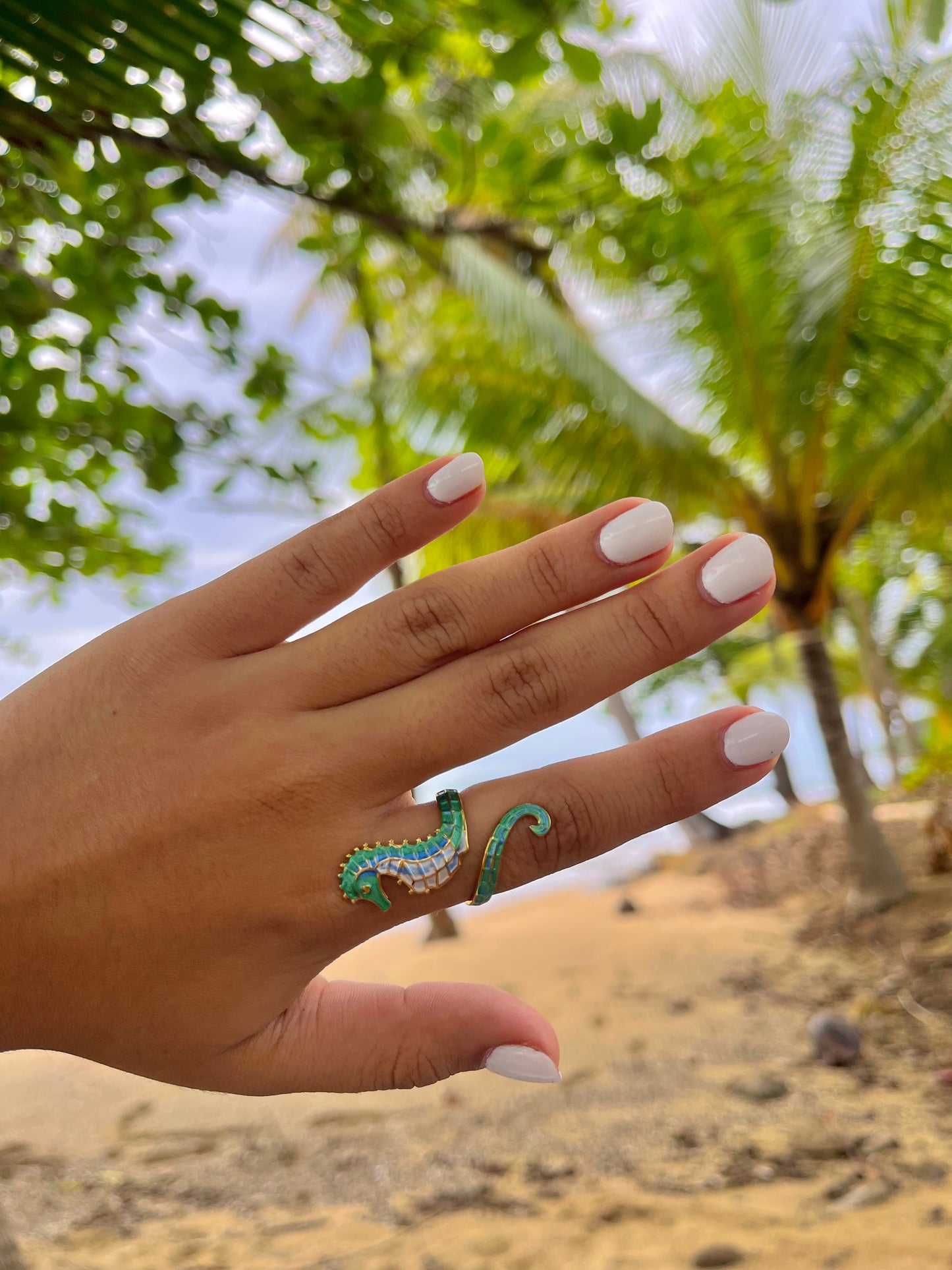 Caballito de Mar Ring