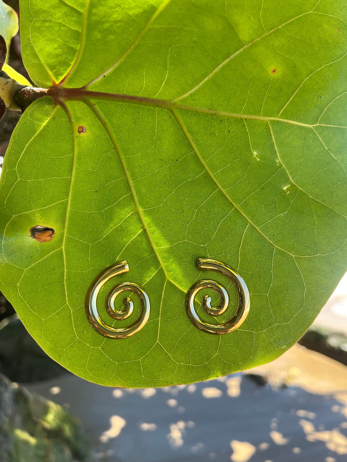 Espiral Earrings